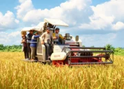 Panen Perdana Cetak Sawah Rakyat Di Berau, Bukti Lahan Baru Mulai Produktif