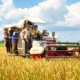 Panen Perdana Cetak Sawah Rakyat Di Berau, Bukti Lahan Baru Mulai Produktif