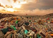 Bupati Berau: Perusahaan Jangan Hanya Eksploitasi Alam, Wajib Ikut Atasi Masalah Sampah