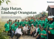 Menteri Kehutanan Tekankan Perlindungan Hutan Dan Habitat Orangutan Di Landscape Karahitan Berau