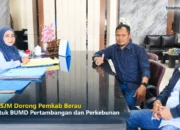 Dorong Pemkab Berau Bentuk BUMD Pertambangan Dan Perkebunan