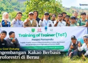 Berau Coal Cetak Petani Pemandu, Perkuat Pengembangan Kakao Berbasis Agroforestri