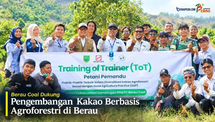 Berau Coal Cetak Petani Pemandu, Perkuat Pengembangan Kakao Berbasis Agroforestri
