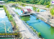 Pakan Mandiri Berbahan Lokal Dikembangkan Di Batu-Batu, Biaya Produksi Bisa Dipangkas