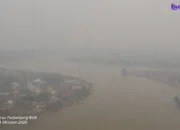 Kabut Asap Belum Membaik, Disdik Berau Perpanjang BDR Hingga 14 Oktober 2026