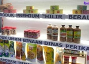 Dongkrak Nilai Jual Tangkapan Nelayan, Dinas Perikanan Berau Gebrak Program Hilir Berau